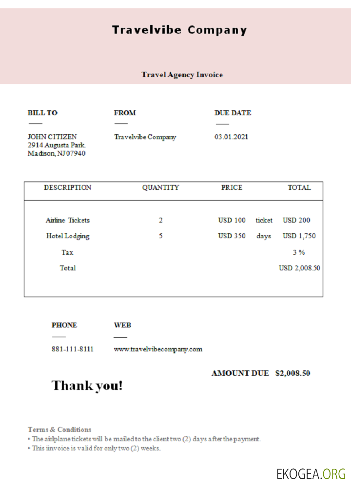 Facture de la société Travelvibe aux États , Unis